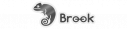 Brook