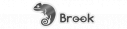 Brook