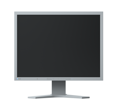 EIZO FlexScan S2133
